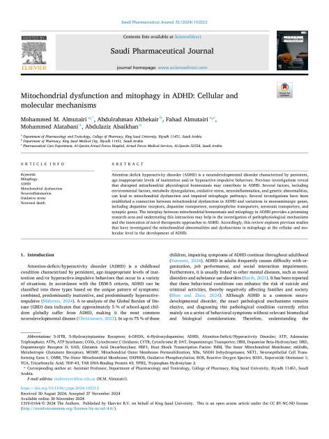 Mitochondrial dysfunction and mitophagy in ADHD: Cellular and molecular mechanisms